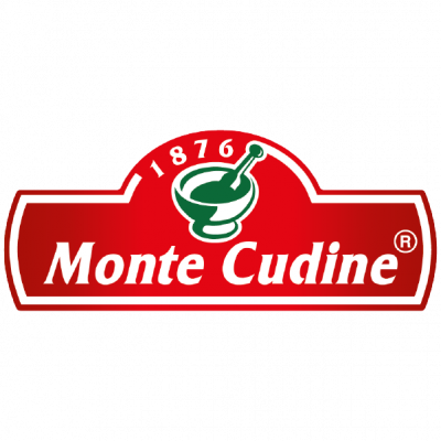 Monte Cudine