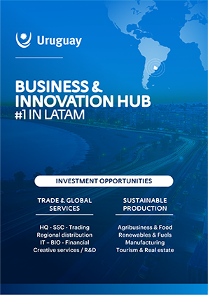 Pitch Uruguay Business & Innovation Hub