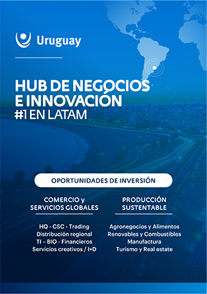 Pitch Uruguay Hub de Negocios e Innovación